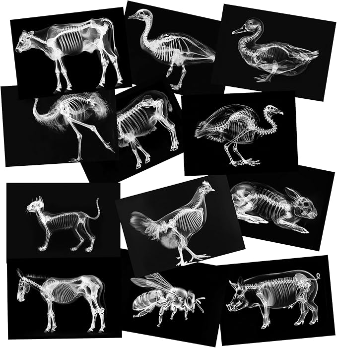 Science Kits & Toys