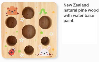 Ancaixin Montessori Toys for Babies 6-12 Months, Wooden Toys for 1 Year Old Boys and Girls, Educational Carrot Harvest Toy for Toddlers, Shape Sorting Matching Puzzle, Developmental Birthday Gifts