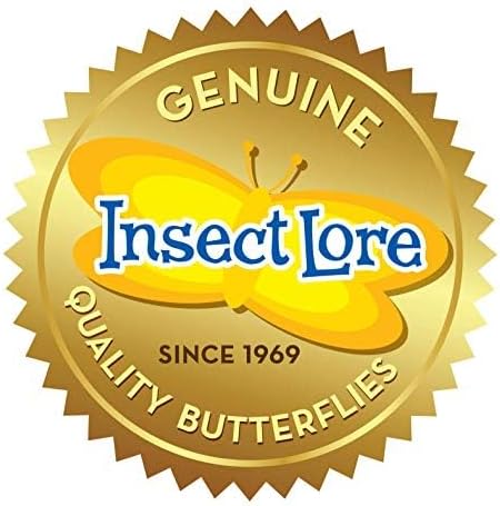 Insect Lore Butterfly Garden Kit - 5 Live Baby Caterpillars, Habitat, Feeder, Chrys-A-Lid Log, STEM Journal Included - Grow, Raise and Release Painted Lady Butterflies