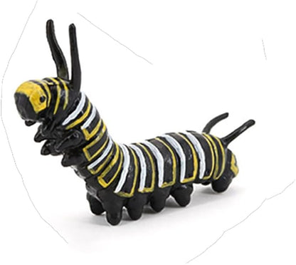 Butterfly Growth Cycle, Animal Growth Cycle Biological Model, Growth Stage Lifelike Butterfly Life Cycle Model Set for Kids Education Insect Themed Party Favors