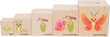 Wooden Life Cycle Nesting Blocks, Sorting & Stacking Montessori Toys for Kids, Preschool Educational Learning Cube Boxes for Toddlers 3+, Science Toy Set for Baby Boys & Girls (5 Pcs)