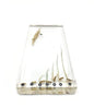 Paddy Rice Germination in Acrylic Block Lifecyle of Paddy Rice Biology Science Classroom Specimens (Paddy Rice Germination)