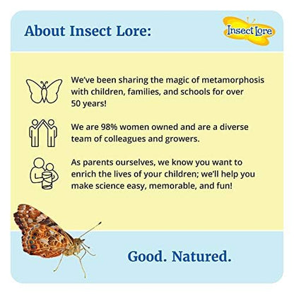 Insect Lore Budding Entomologist Activity Journals | 12 Journal Classpack | Ages 3-8 | Class Set of STEM Learning Booklets