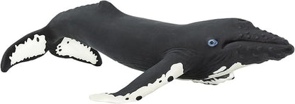 Safari Ltd. Humpback Whale Figurine - Detailed 7" Plastic Model Figure - Fun Educational Play Toy for Boys, Girls & Kids Ages 1+