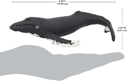 Safari Ltd. Humpback Whale Figurine - Detailed 7" Plastic Model Figure - Fun Educational Play Toy for Boys, Girls & Kids Ages 1+