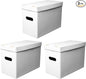 NUMINA Comic Book Boxes – 3 Pack Short Boxes | Fits 150–175 Comics | Comic Book Storage Organizer for Silver & Current Age | Durable Stackable Cardboard Box