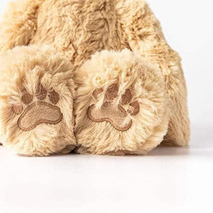 Slumberkins 14" Honey Bear Kin & 2 Board Books Complete Set Bundle | Promotes Gratitude, Respect & Sharing | Social Emotional Tools for Ages 0+ (Honey Bear Kin Plush + 2 Board Books)