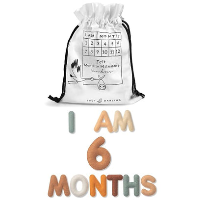 Lucy Darling Felt Baby Monthly Milestone Numbers – Signs & Photo Props – Soft Letters & Numbers for Baby Announcement, Newborn Photography – Neutral
