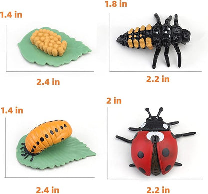 Montessori Life Cycle Animal Figures with Flash Cards, Realistic Animal Figurines Toy, Educational Matching Game for 3+ Year Old Toddlers Kids (Ladybug)