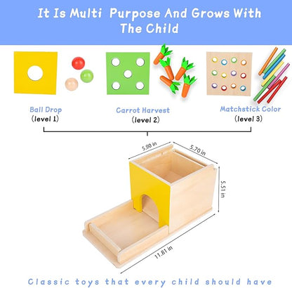 Montessori Toddler Play Kit Montessori Box Toys for 1 Year Old 2 Years Baby Learning Toys Gift Carrot Harvest Game, Matchstick Color Drop Game and Coin Box (5-for-1)