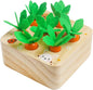 Skrtuan Montessori Toys for Babies 36 Months, Wooden Toys for 3 4 5 Year Old Toddlers, Educational Carrot Harvest Shape Sorting Matching Puzzle, Developmental Birthday Gifts for Boys and Girls