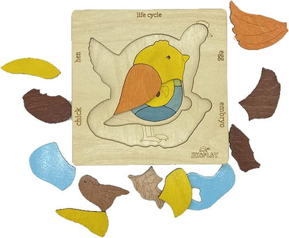 Life Cycle of A Chicken | 20 Piece Wooden Jigsaw Puzzle for Kids | for Preschool Kids, Learning Educational Toys Gifts for Boys & Girls 3+ Years