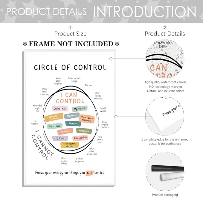 Circle Of Control Poster What I Can And Cannot Control Therapy Office Wall Art Kids Mental Health Poster Calm Down Corner School Decor 16x24in Unframed