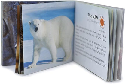 Menique Wild Animals Memory Matching Game – Spanish Edition – 80 Cards (40 Pairs) with Real Photos – Educational Game in Spanish for Kids and Adults – Includes Booklet