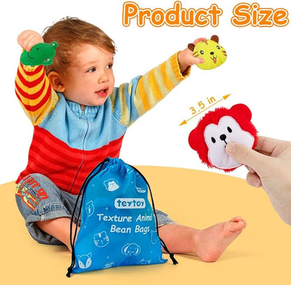 teytoy Sensory Bean Bag for Kids 10 Pack,Texture Sensory Beanbags,Sensory Toys for Autism,Animal Sensory Fine Motor Toys with Storage Bag for Boys and Girls