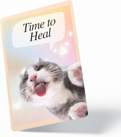 CATCHYOURDREAMS Cats for Comfort - 50 Inspirational Affirmations and Positive Activities for Healing and Peace - Stress Relief and Mindfulness Grief Cat Bereavement Sympathy Gift for Women