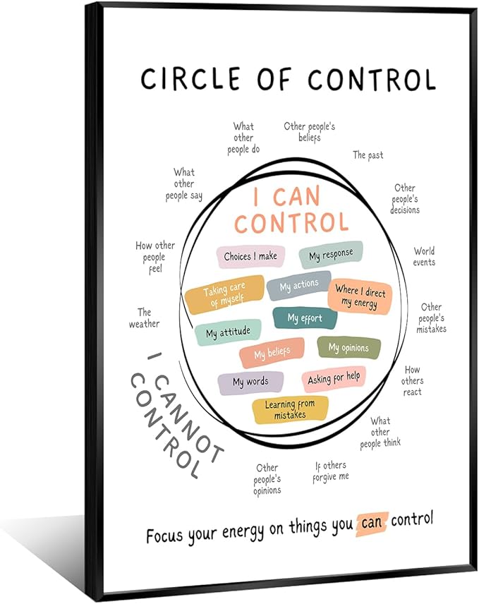 Circle Of Control Poster What I Can And Cannot Control Therapy Office Wall Art Kids Mental Health Poster Calm Down Corner School Decor 12x16in BlackFramed
