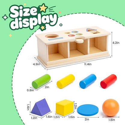 Montessori Toys Wooden Color & Shape Sorter Toys for Toddlers 1-3, Matching Box Sorting Blocks Manipulatives Preschool Learning Educational Toy for 1 2 3 4 Year Old Boy Girl Kid Gifts