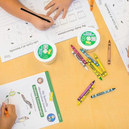 Insect Lore Budding Entomologist Activity Journals | 12 Journal Classpack | Ages 3-8 | Class Set of STEM Learning Booklets