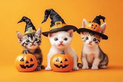 Kittens and Pumpkins - Adult Wizard Hat Halloween 1000 Pieces Adult Puzzle - Challenging Family Activities