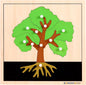 MONTESSORI OUTLET Nature Materials Tree Puzzle Early Preschool Learning Toys for 3-12 Year Old Kids and Toddler