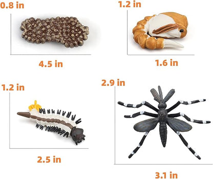 Montessori Life Cycle Animal Figures with Flash Cards, Realistic Animal Figurines Toy, Educational Matching Game for 3+ Year Old Toddlers Kids (Mosquito)