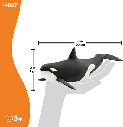 Schleich Wild Life, Animal Figurine, Animal Toys for Boys and Girls 3-8 Years Old, Killer Whale, Ages 3+