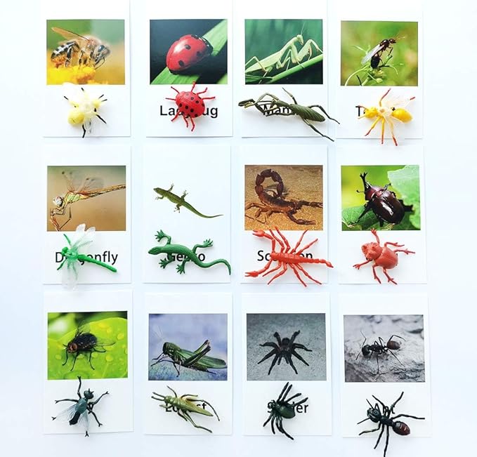 MEROCO Montessori Animal Match - Insect Animal Figurines with Matching Cards Language Montessori Materials Preschool Learning Toy NEWT008