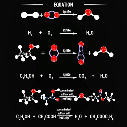 Organic Chemistry Molecular Model Kit 206pc Middle,High School Supplies, Educational Science Set Gift for Student to Learn Structure and Reactions