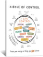 Circle Of Control Poster What I Can And Cannot Control Therapy Office Wall Art Kids Mental Health Poster Calm Down Corner School Decor 16x24in Framed