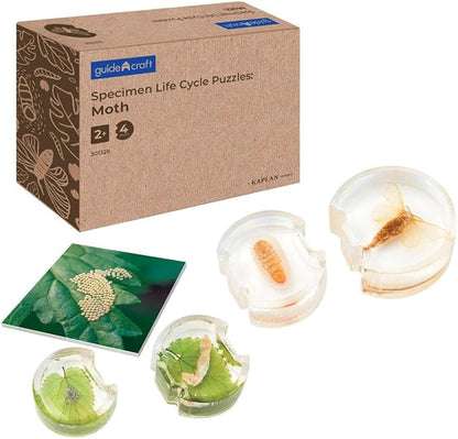 Kaplan Early Learning Specimen Life Cycle Puzzles - Moth