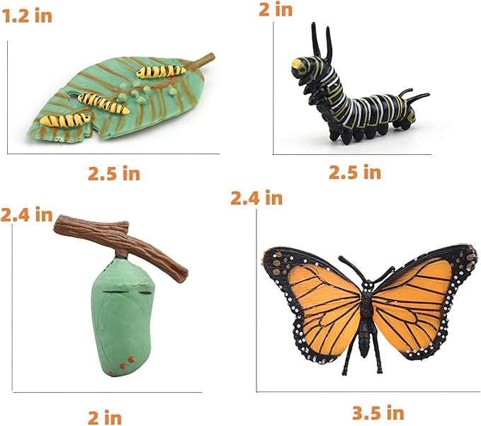 Montessori Life Cycle Learning & Education Toys, Plastic Insect Ladybug Monarch Butterfly Tadpole to Frog Kit Life Cycle Toys for Kids, Preschool Learning Activities for Toddlers