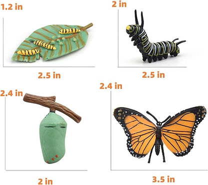 Montessori Life Cycle Learning & Education Toys, Plastic Insect Ladybug Monarch Butterfly Tadpole to Frog Kit Life Cycle Toys for Kids, Preschool Learning Activities for Toddlers