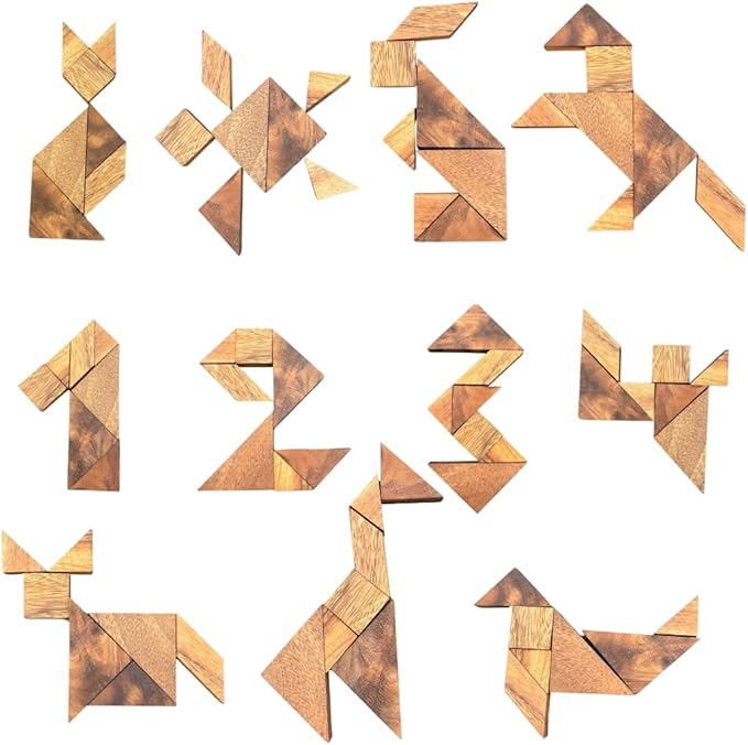 Premium Wooden Tangram - Luxury Wooden Brain Teaser Block for Kids & Adult - Wood Block Puzzle - Logic Puzzle - STEM Montessori Educational Sensory Toys for All Ages
