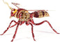 3D Puzzles for Adults, Bumblebee Metal Assembly Jigsaw Game with Steel Mechanical Engineering, Advanced DIY Crafts for Relief & Collection（Red-Gold