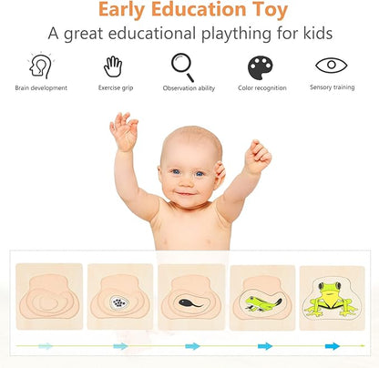 Wooden Multi Layered Puzzles, Life Cycle of Frog, Cartoon Montessori Toy DIY Puzzle Early Educational Toy Preschool Learning Game for Boys & Girls 3 Years and Above
