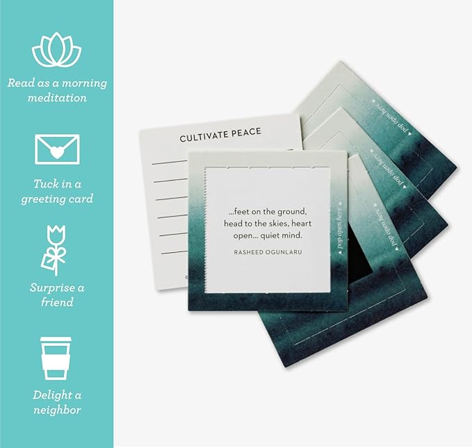 Compendium ThoughtFulls Pop-Open Cards — 4-Pack of Embrace Calm, Mindfulness, Live with Intention, Grateful – 120 Pop-Open Cards, Each with a Different Message Inside