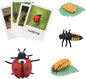 Montessori Life Cycle Animal Figures with Flash Cards, Realistic Animal Figurines Toy, Educational Matching Game for 3+ Year Old Toddlers Kids (Ladybug)