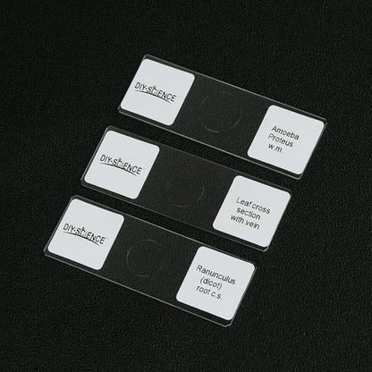 Prepared Microscope Slides Set for Apologia Biology, Pack of 16pcs Specimens Specifically for Biology Course (Apologia Slides)