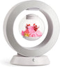 LoveLin Magnetic Levitation Circle Table Lamp with Bluetooth Speaker,5W Led Night Light,Three Variable Color,Automatic Rotating Preserved Flowers Creative Gifts Home Office Ornament Rotundity Layout