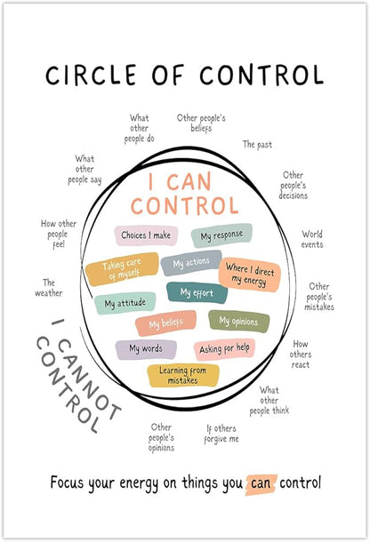 Circle Of Control Poster What I Can And Cannot Control Therapy Office Wall Art Kids Mental Health Poster Calm Down Corner School Decor 16x24in Unframed