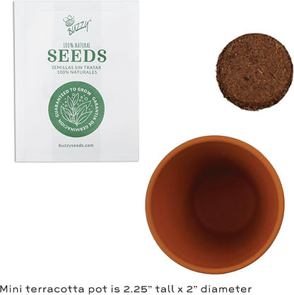 BUZZY Seeds Terracotta Mini Grow Pots | Herb, Plant, Flower Starter Kit for Kids & Adults | Assorted 12-Pack, Classic Collection | Guaranteed to Grow | Best Indoor-Outdoor Gardening Gift