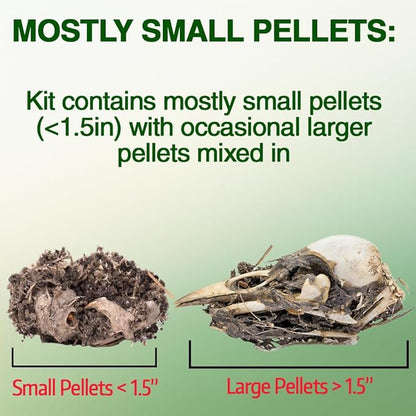 ES EVVIVA SCIENCES Owl Pellet Kit - Dissect 15 Mostly Small Real Owl Pellets w/Tools & PDF Bone Charts - Science Education Kit for Ages 15+ - Hands-On Animal Biology Science Lab Activity