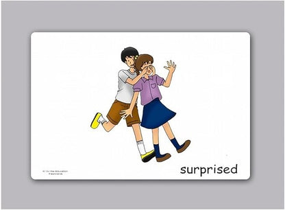 Feelings and Emotion Flash Cards - English Vocabulary Picture Cards for Toddlers, Kids, Children and Adults