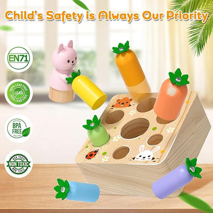 XPIY Montessori Toys for 1 Year Old, Carrots Harvest Wooden Baby Toys for 6-12 Months Educational Shape Sorting Matching Toys Fine Motor Skill, Gift for Kids Easter (Bouncing Carrots)