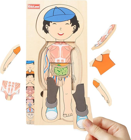 Kidzlane Wooden My Body Puzzle for Toddler - 5-Layer Human Anatomy Puzzle - Real Wood - Multicolor - Educational Toy for Kids - BPA Free - Explore Skeletal, Respiratory, Digestive System