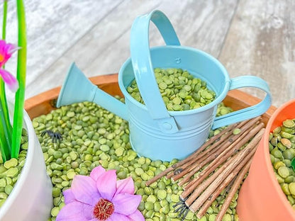 Kids Sensory bins Montessori sensory bin, sensory toys, Sensory bins, Sensory Bin For Preschoolers (Gardening)