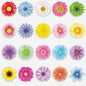 20PCS Spring Grow Flowers Thick Gel Cling Sunflowers Window Gel Cling Decals Sticker Flower Window Decoration for Kids Toddlers Home Airplane Classroom Nursery Spring Party Supplies Removable Reusable