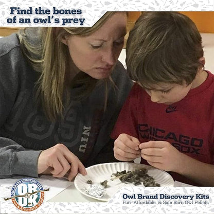 OBDK Barn Owl Pellets for Dissection - 1 Pack Medium Sized (1.5"-2.0") with Tools, Guide and Charts from Owl Brand Discovery Kits