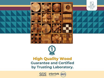 BSIRI 16 in 1 Wooden Brain Teaser Puzzles for Adults and Teens or Kids Interlocking 3D Mini Wood Mind Games Hand Puzzle Teasers Set Toys Coffee Table Games Gift